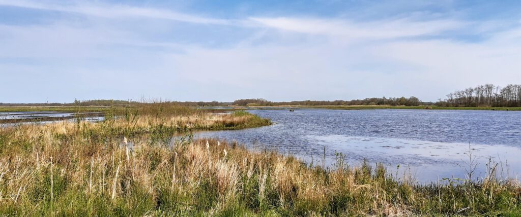 Mannendag op 13 juni